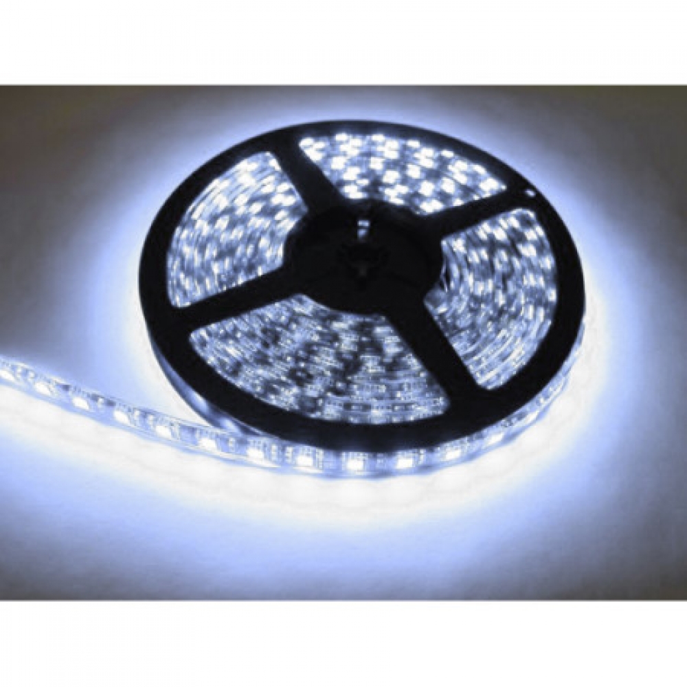 플렉시블 LED 바 SMD 5050 칩 플렉시블 플렉서블 5M 백색 에폭시 방수형 5미터 LED 5050 chip flexible COOL WHITE LED / 인투피온